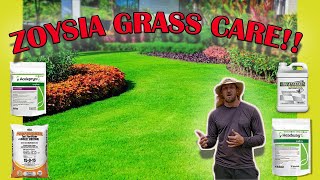 How To Care For Zoysia Grass!! Full Guide!! Fertilizer | Mowing | Watering | Pest | Fungus | Weeds
