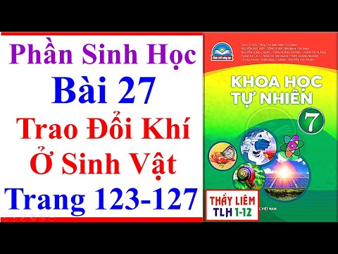 Video Khoa Học Tự Nhiên 7 Bài 27 Trao Đổi Khí Ở Sinh Vật... - youtube