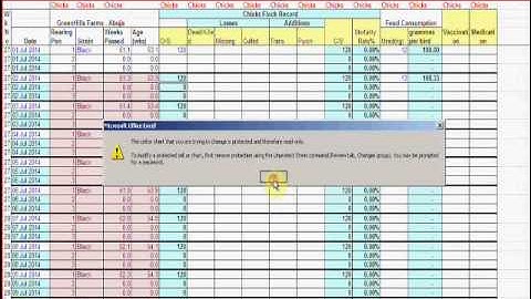 Video 7 Updating the Layers, Broilers & Chicks Feeds Stock Movement Tables   Part 1 of 3 ok