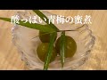 【青梅】作り方を間違っている人は結構多い（甘いだけの人）コツは酸味を上手く残す事