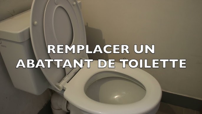 Astuces : Comment choisir son abattant wc ? - iSi-Bricole