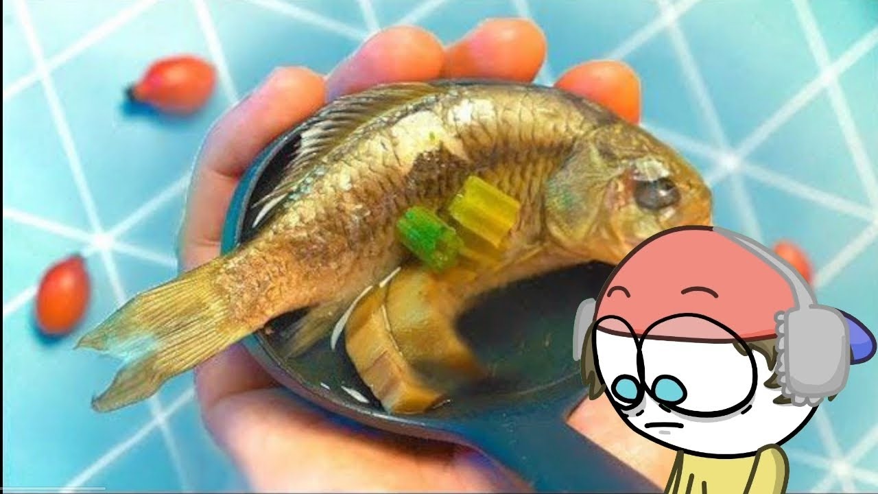 КАК ПРОЖИТЬ ЦЕЛЫЙ ДЕНЬ- НА 0 РУБЛЕЙ | KwizinArt реакция | slivki show