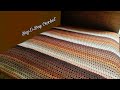 Easy Crochet Blanket | Quick Easy Crochet Afghan | Bag O day Crochet Tutorial