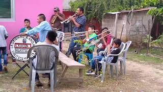 La original banda creación huasteca de chiliteco huautla hgo.