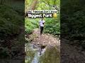 Pakistan’s Biggest Park 😳 | Waterfall, Jungle, Mountain