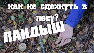 Как не СДОХНУТЬ в лесу. Ландыш.