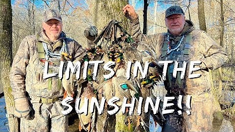 Duck Hunting In The Sunshine!! | Full Straps And Blue Skies!! | Into The Woods With Rusty Creasey