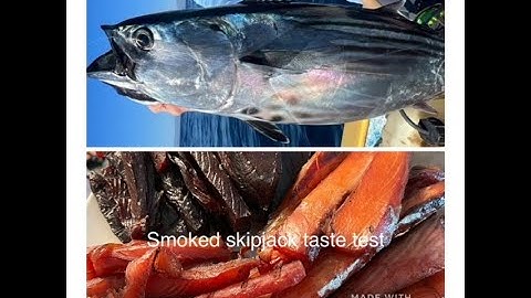 SMOKED SKIPJACK TUNA CHALLENGE!  Is skipjack trash fish?  I don