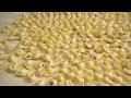 I veri Cappelletti alla Romagnola (I Caplèt)