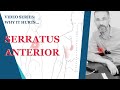 Relieving Serratus Anterior Pain: Here Is A Brilliant Stretch Against Underarm Pain