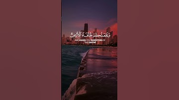 {أَمَّن يُجِيبُ الْمُضْطَرَّ إِذَا دَعَاهُ وَيَكْشِفُ السُّوءَ.. }تلاوة مرتلة للقارئ أنور الجبرتي
