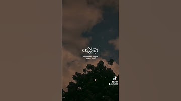 ارح قلبك وسمعك #تلاوات #طمأنينة #تلاوة_خاشعة #تذكرة #قران #القرآن_الكريم