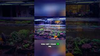 HANNA Alkalinity Checker Hack