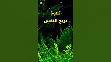 تلاوة و راحة -- مع فضيلة الشيخ المنشاوي❤️ #القرآن#خشوع #راحةالمنشاوي#عبدالباسط#نهاوند#حجاز
