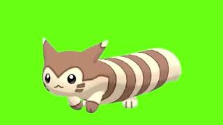 Furret Walking for 1 Hour cause dead memes