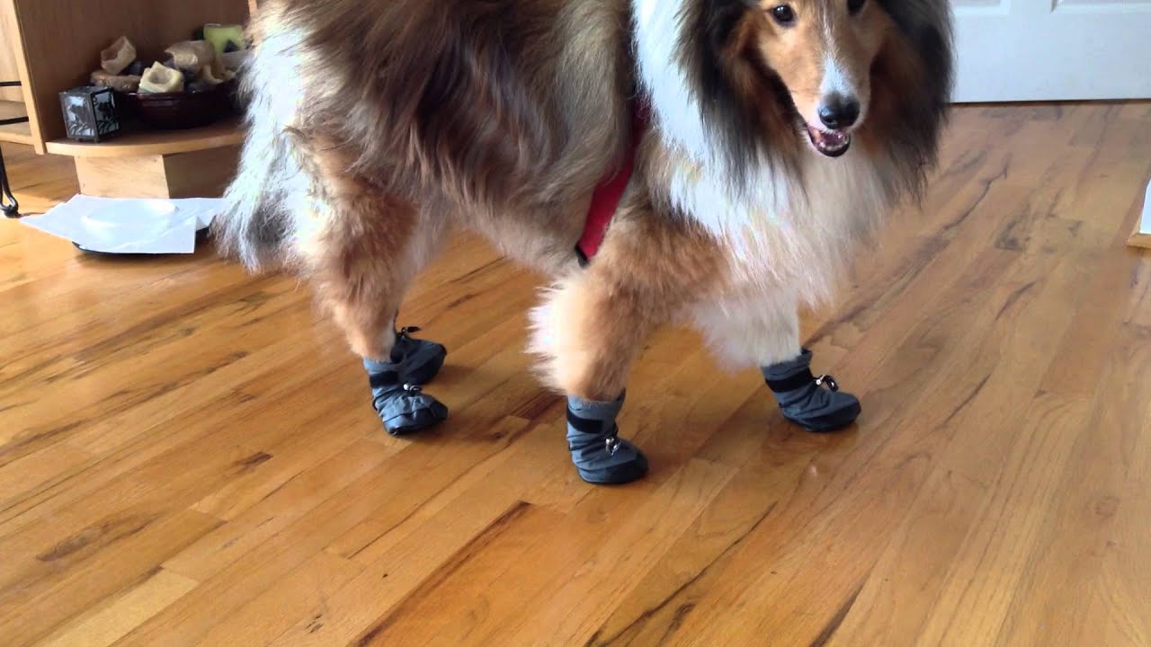 columbia marlin shoes