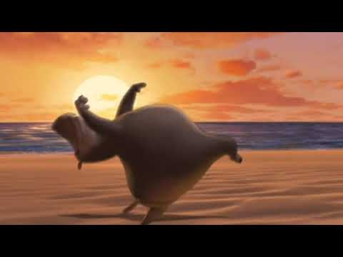 Video: Wie is het nijlpaard in Madagaskar?