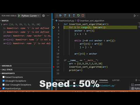Insertion Sort Algorithm with Real-Time Debugging | Python | Debugging | Visual Studio