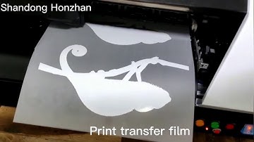desktop 6 ink colors A3 DTF printer for t-shirt garment hoodies print, end of video has washing test