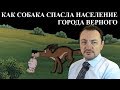 Как собака спасла население Верного