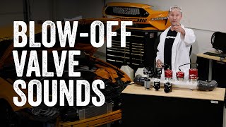 What does a BLOW-OFF valve sound like? What does FIVE blow-off valves sound like??