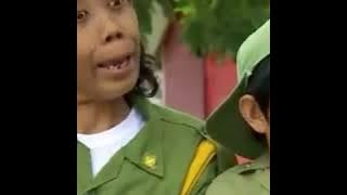 Babe Tenno Ali Asli 100%