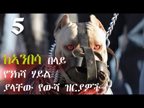 ቪዲዮ: ሁሉም ተወላጅ ያልሆኑ ዝርያዎች ሥነ-ምህዳርን ያስፈራራሉ?