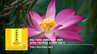 K.Trường A Hàm tập 1 – Phần 2 K.Chúng Tập A 