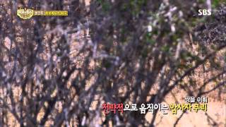 정글의법칙 131108(다시보기) #37(1)