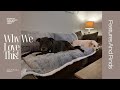 Why I Love This Waterproof Dog Blanket For Our Couch