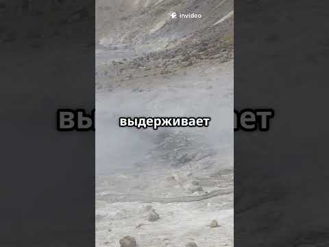 Улитка, у которой железный.....
