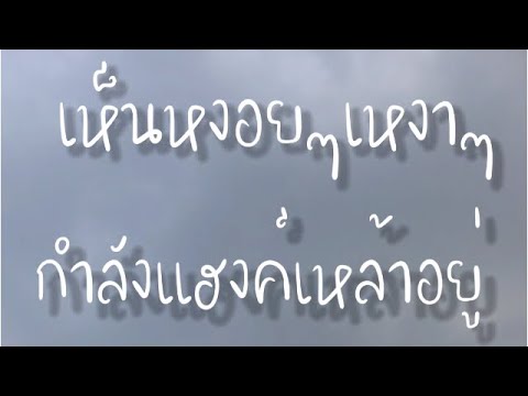 สเตตัส แค๊ปชั่น คำคมกวนๆมาสั้นๆคิดไม่ทันครับผม😅