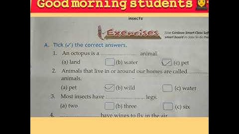 Class- 1(Evs) ch-12(Part-2)