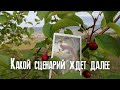 Какой сценарий ждёт далее