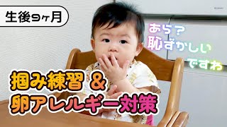 【生後286日目】「たまごたっぷりぼうろ」で、卵アレルギーの克服を目指す【0歳9ヶ月】