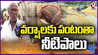 Heavy Rains Cause Extensive Crop Damage in Karimnagar | V6 News