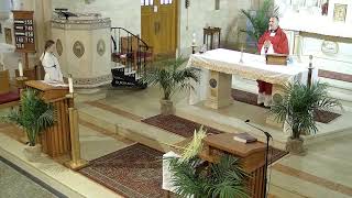 830a Mass: Happy Palm Sunday!