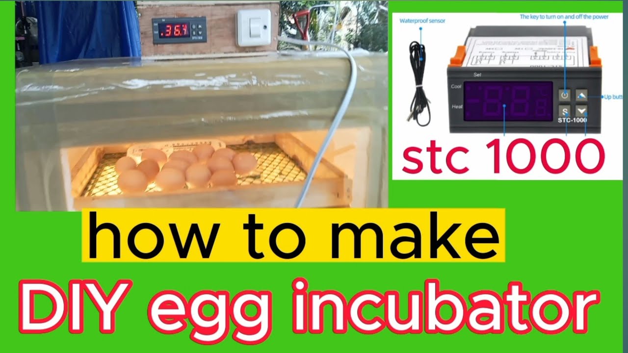 how to make egg incubator/ diy egg incubator/ styro box incubator - YouTube