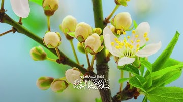 سَبِّحِ اسْمَ رَبِّكَ الْأَعْلَى | سورة الأعلى | آية 01