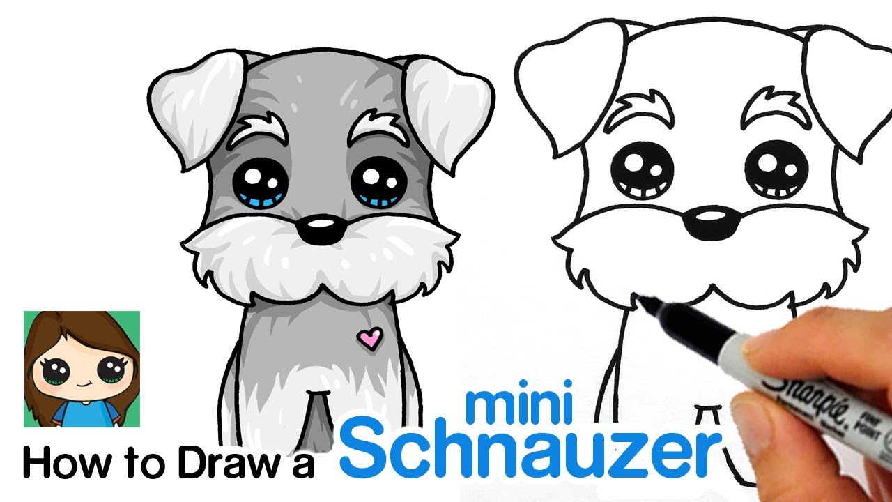 How to Draw a Miniature Schnauzer Puppy Easy | Cartoon Dog - YouTube