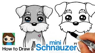 How to Draw a Miniature Schnauzer Puppy Easy | Cartoon Dog