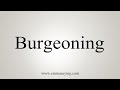 How to say burgeoning