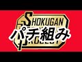 SMP SHOKUGAN MODELING PROJECT 太陽の勇者ファイバード2 ＆ グレートファイバード パチ組み