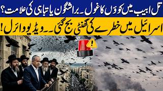 Is A Flock Of Crows In Tel Aviv A Bad Omen Or A Sign Of Disaster? Capital Tv