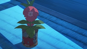 映画『ホウセンカ』本編冒頭７分映像｜2025年10月10日(金)全国公開