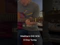 Washburn D42 SCE in D Drop Tuning sound sample