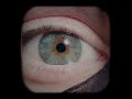 Stephen Meyer On Intelligent Design I Stephenmeyer God Faith Universe Interstellar Joerogan Stephen Meyer On Intelligent Design I Stephenmeyer God Faith Universe Interstellar Joerogan