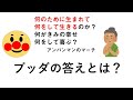 人は何のために生まれてきたのか?ブッダの答えは?