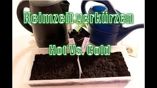 Paprika und #Chili #Keimzeit verkürzen #06