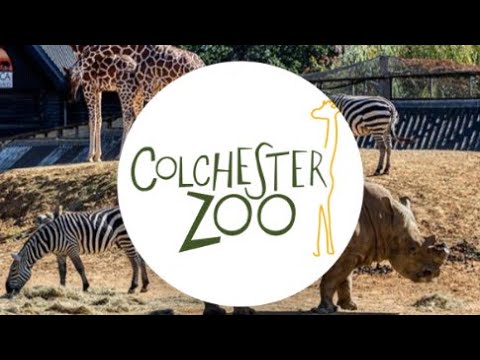 My trip to Colchester Zoo